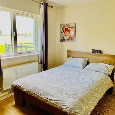 Cozysuite